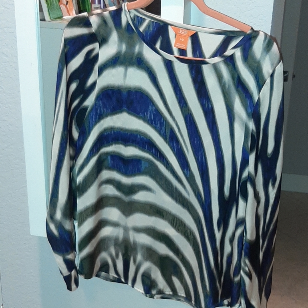 Lonh Sleeve Blouse